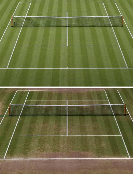 back wimbldon
