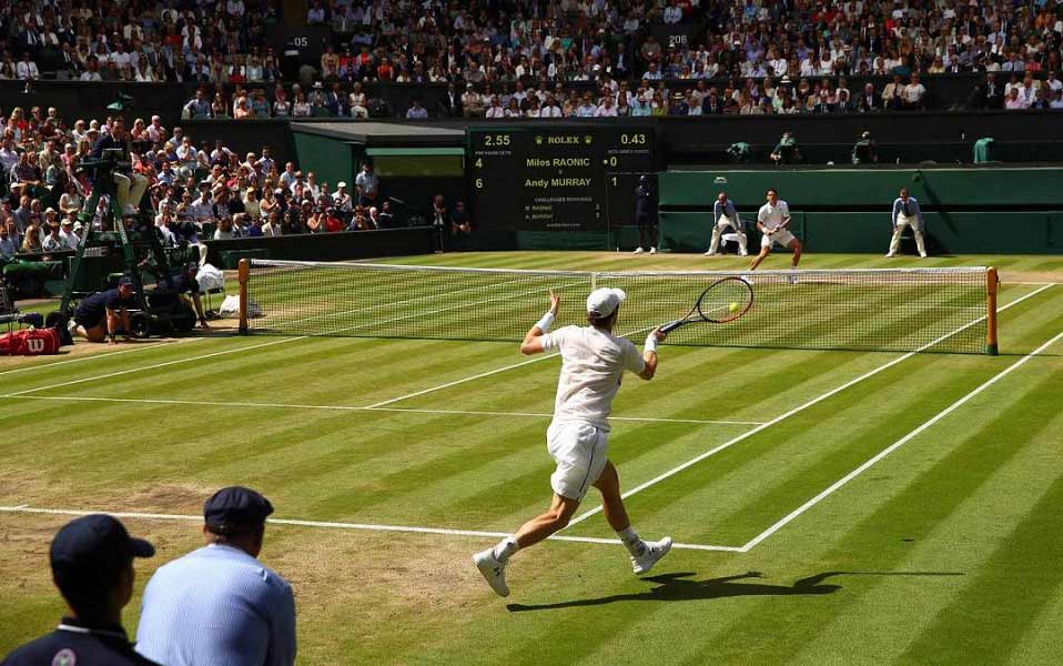wimbeldon background