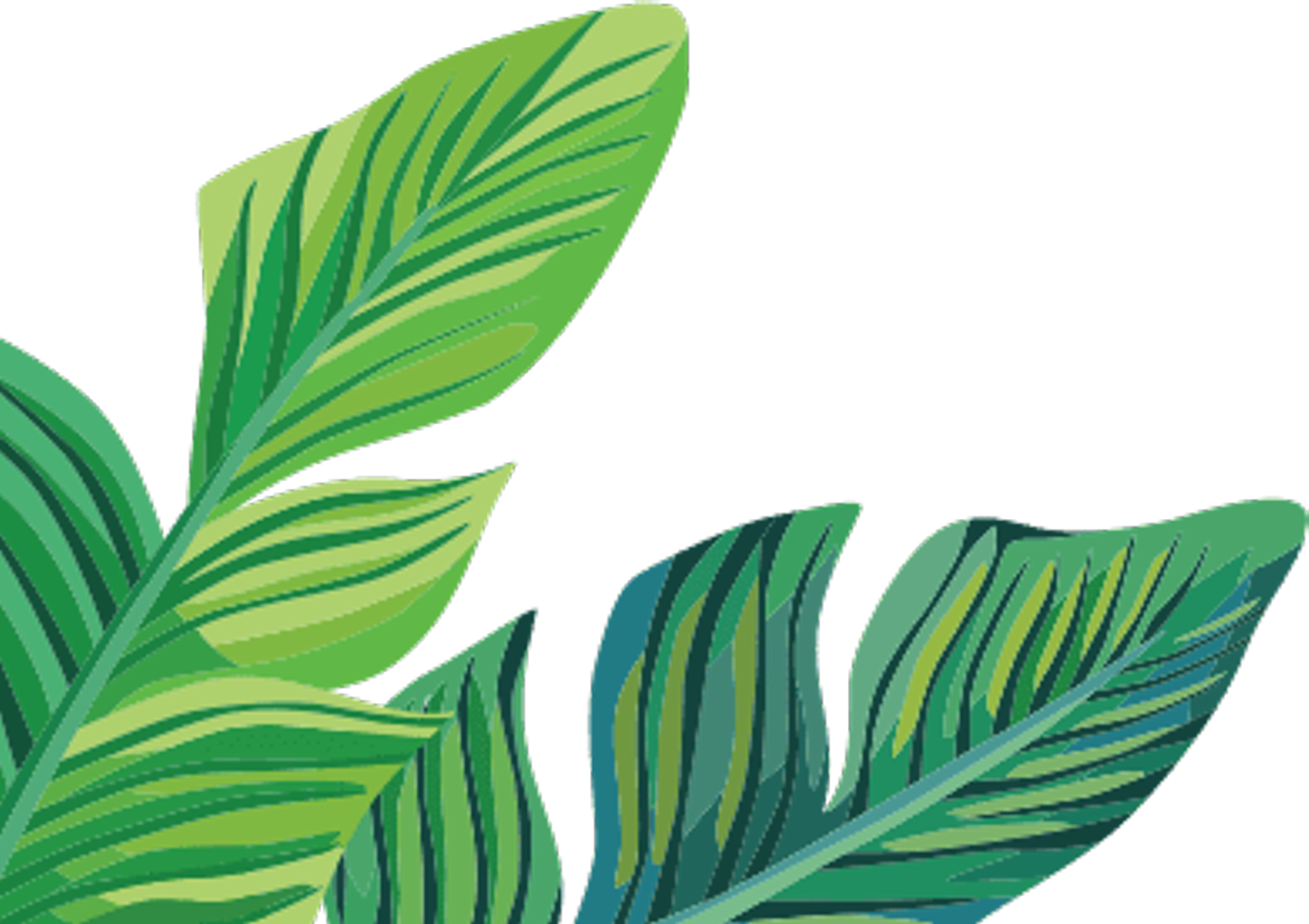 abuse-banana-leaf-transparent-background