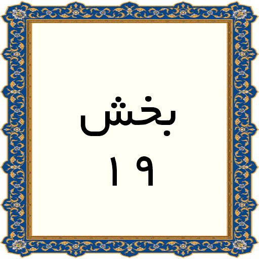 19