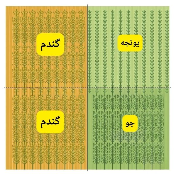 کلاس سوم ریاضی درس کسر صفحه 46 (2)